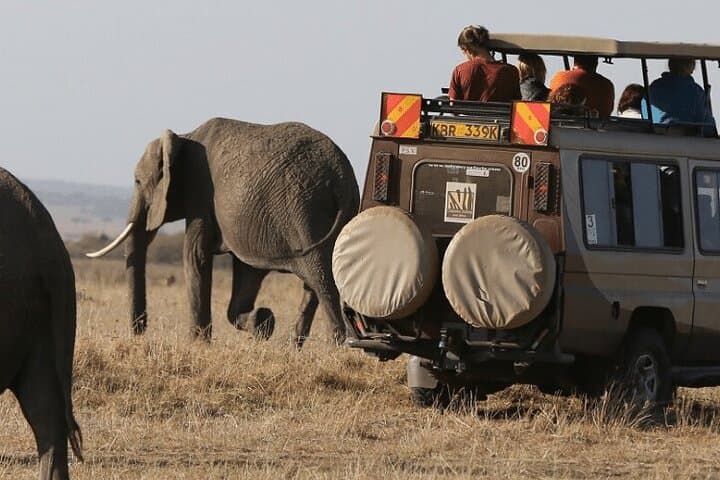 2-Day Ngutuni Conservancy Safari From Mombasa: Big Game & Sunrise Drives photo 2