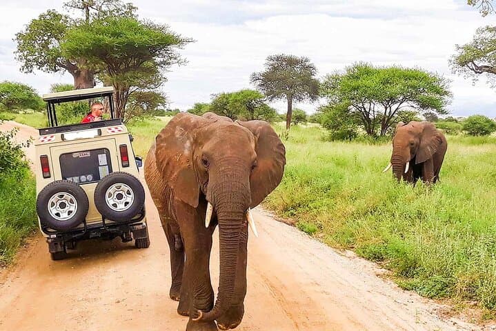 2-Day Ngutuni Conservancy Safari From Mombasa: Big Game & Sunrise Drives