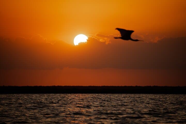 Sian Kaan Sunset Private Boat Tour from Playa del Carmen photo 6