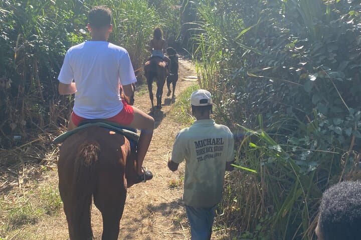 White River Horseback Riding & Bamboo Rafting from Ocho Rios photo 3