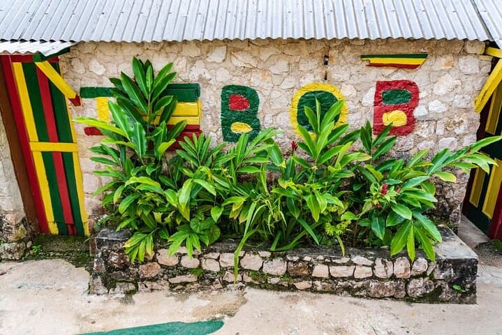 Dunn's River Falls & Bob Marley Mausoleum Private Tour from Ocho Rios photo 3