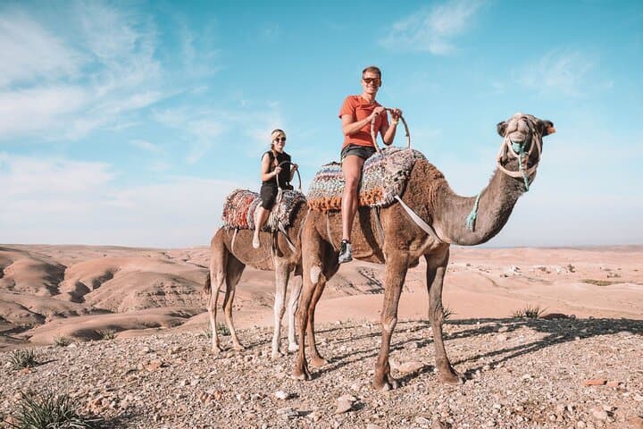 Agadir Camel Ride & Berber BBQ: 2-Hour Dune Trek to Oued Souss photo 2