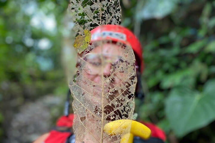 Antioquia 2-Day Private Rafting and Jungle Camping from Medellín photo 4