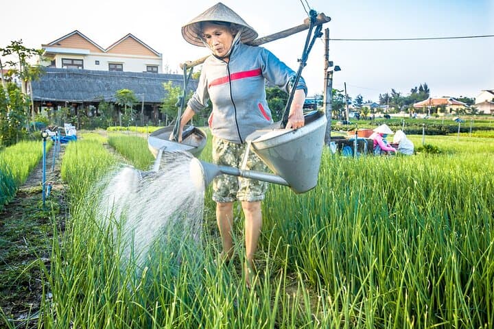 Tra Que Farm-to-Table Half-Day Bike & Cooking Experience in Hoi An photo 4