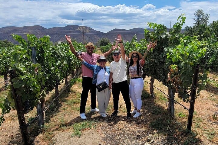 Temecula Weekday Wine Tour: 3-Winery Tasting, Lunch & Local Pickup