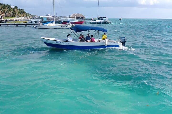 Hol Chan Marine Reserve & Shark Ray Alley: Half-Day Snorkel from Ambergris Caye photo 3