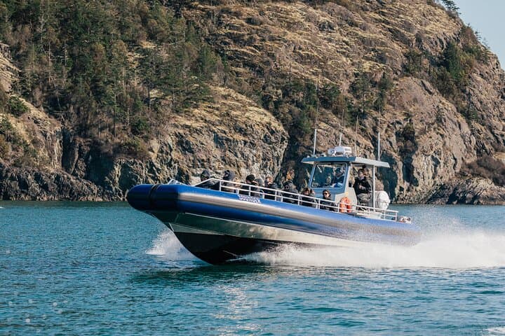 Anacortes Zodiac Whale Watching — San Juan Islands Wildlife Cruise photo 2