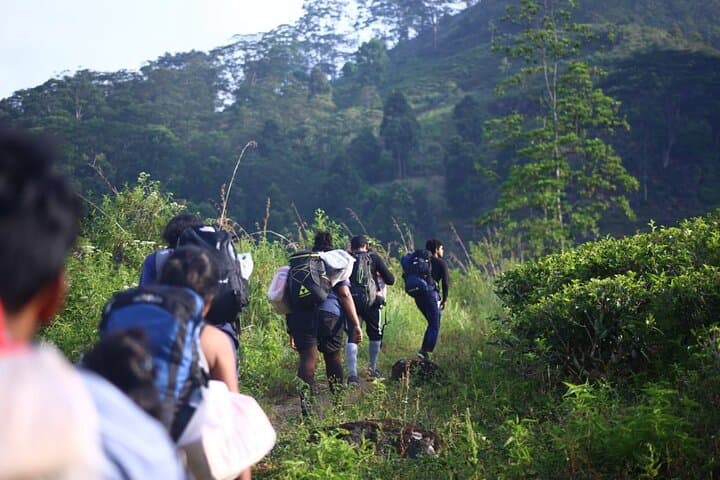 Hike Elephant Spine (Manigala) — Knuckles Backpackers Trail from Kandy photo 6