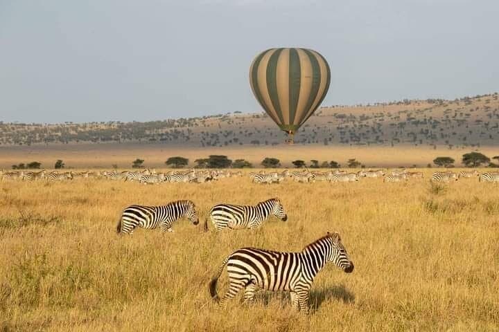 Follow the Wildebeest Migration: 8-Day Serengeti & Ngorongoro River Crossing Safari photo 3