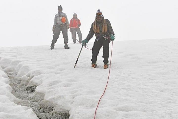 Gorilla and Rwenzori Expedition Uganda — 15-Day Trek to Margherita Peak and Gorilla Habituation