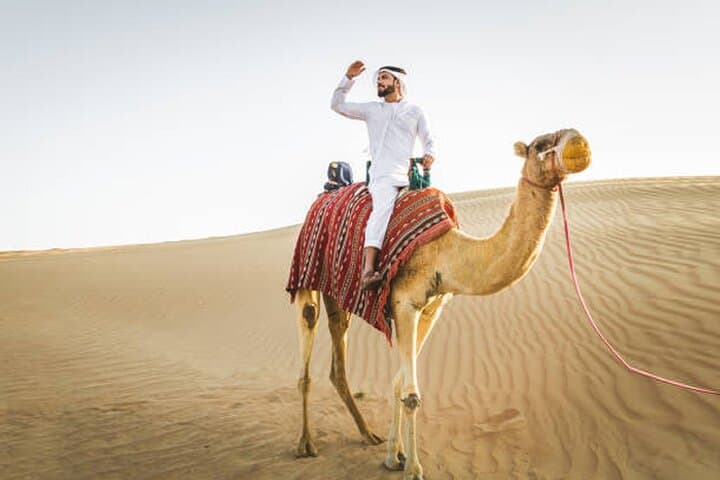 Private Dubai Desert Safari: Dune Bashing, Camel Rides & Falconry photo 3