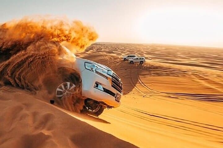 Private Dubai Desert Safari: Dune Bashing, Camel Rides & Falconry photo 5