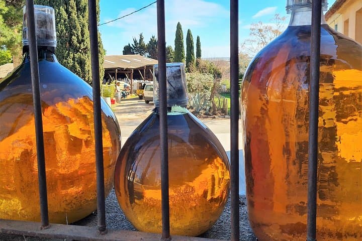 Roussillon Wine Tour: Collioure Vines, Picnic & Sweet-Wine Tastings photo 3