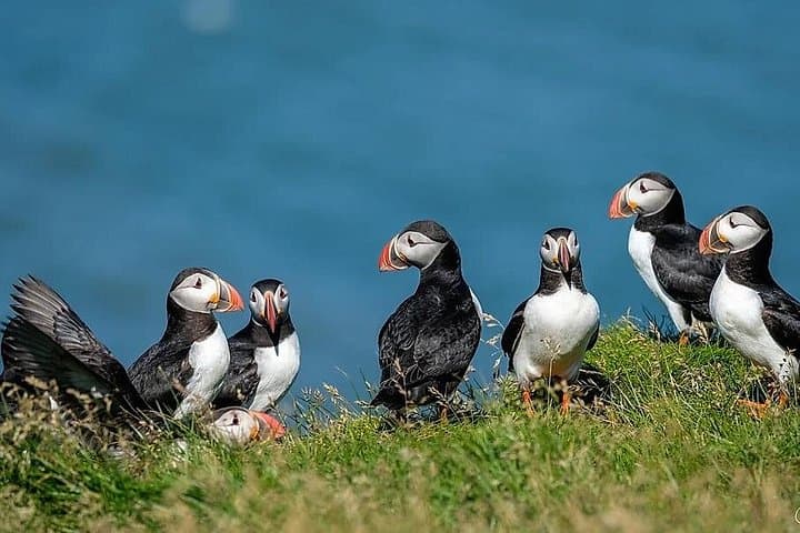 Super‑Jeep Tour to Iceland’s South Coast Waterfalls & Black Sand Beach photo 3