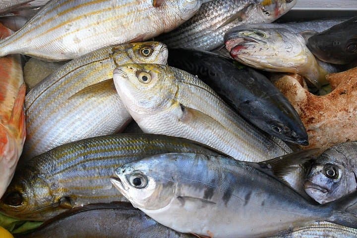 Shared Fishing Experience in Capri from Sorrento: Full-Day Boat Trip with Lunch photo 3