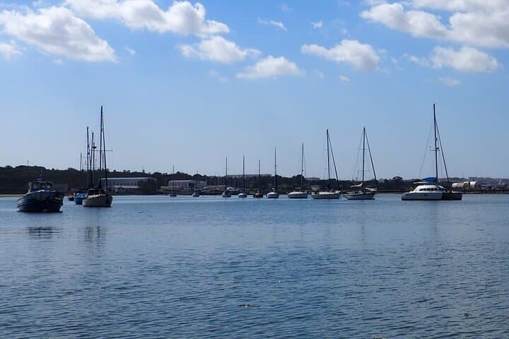 Private 6-Hour Tagus River Cruise & Secret Bay Lunch