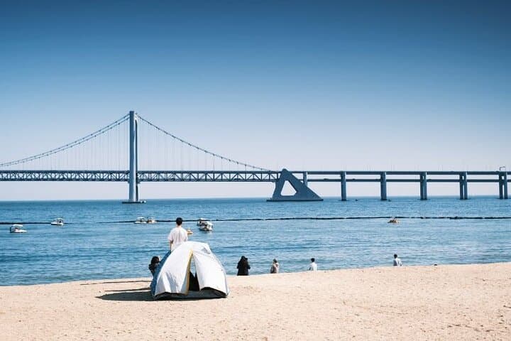 custom-private-walking-tour-busan-local-guide photo 4
