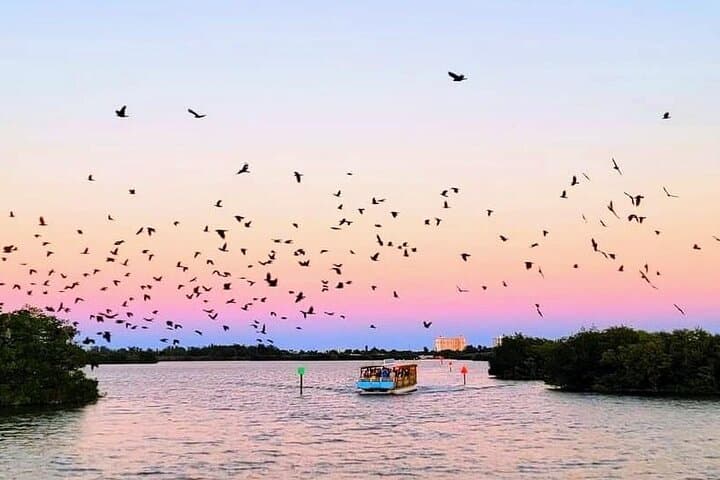 Banana River Cocoa Beach Sunset Cruise: Dolphin & Manatee Evening Tour photo 4