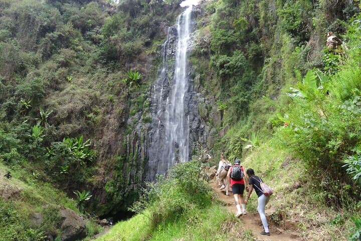 Materuni Waterfall and Coffee Tour from Arusha — Hike, Swim & Kilimanjaro Coffee photo 3