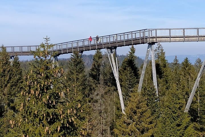 Bachledka Treetop Walk and Zakopane Private Day Trip from Krakow photo 2