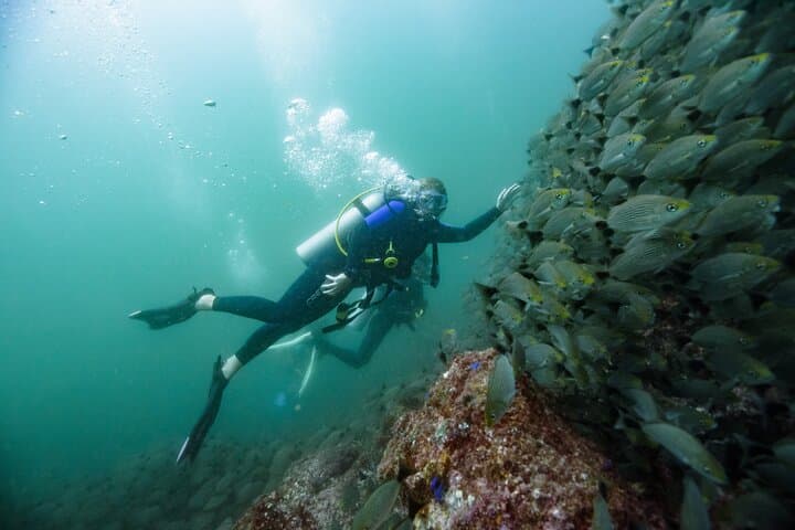 Discover Scuba Diving at Catalina Islands & North Island, Costa Rica — Intro Dives from Playa Flamingo photo 6