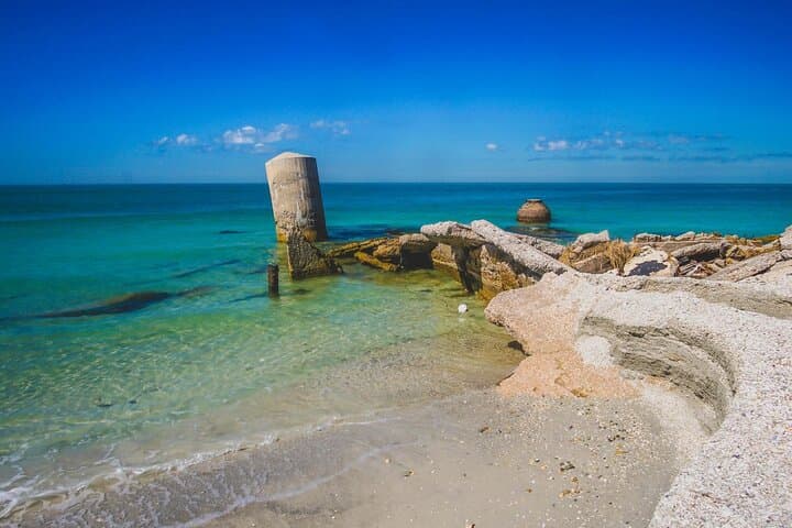 Egmont Key Private Boat Tour — 5-Hour Eco Adventure from St. Petersburg photo 4