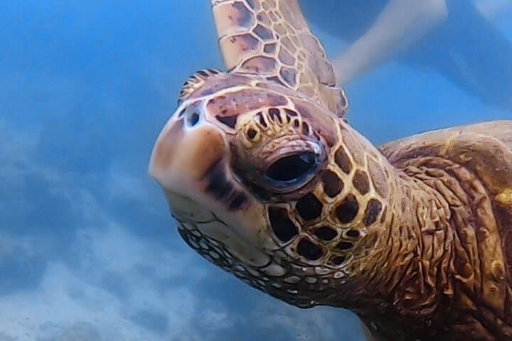 Galapagos Private Yacht Tour: 8-Day Islands, Snorkeling & Wildlife Itinerary photo 6