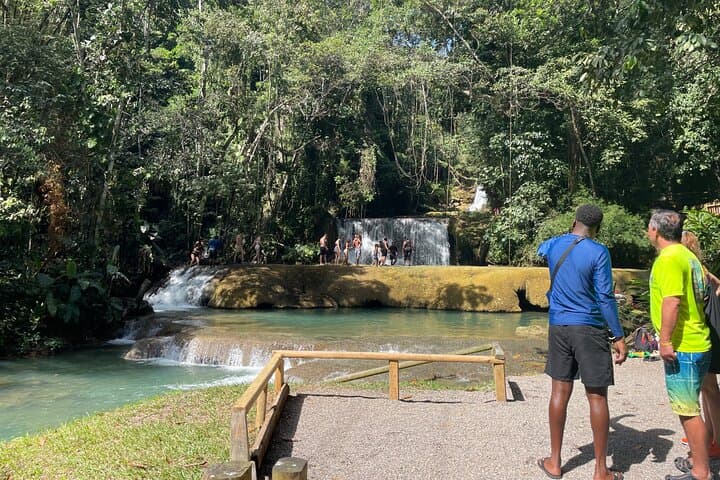 YS Falls Half-Day Tour: Swim, Hike and Waterfall Pools from Montego Bay photo 4