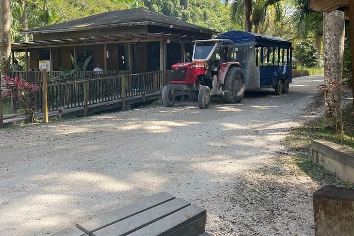 YS Falls Half-Day Tour: Swim, Hike and Waterfall Pools from Montego Bay photo 6