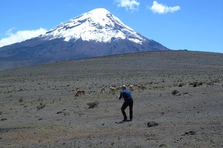 Chimborazo Volcano Tour from Quito: Hike to Cóndor Cocha (5100m) photo 6