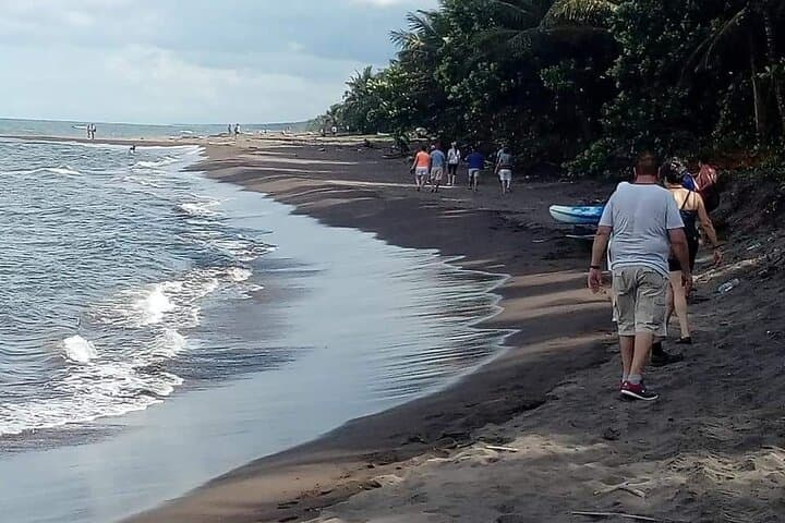 Tortuguero Private Kayak Kayak Tour: Paddle Costa Rica's Canal Labyrinth photo 6