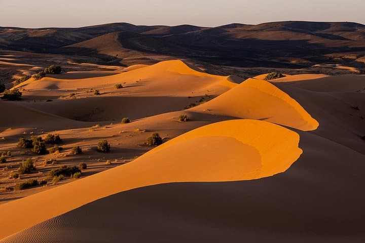 2-Day Sahara Desert Trip from Fes to Merzouga and Marrakech photo 4