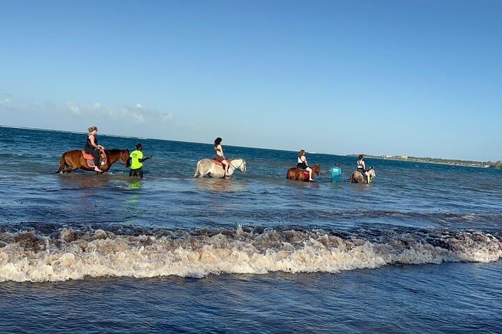 Montego Bay Combo: Dunn's River Falls, Horseback Beach Ride & Blue Hole Secret Falls