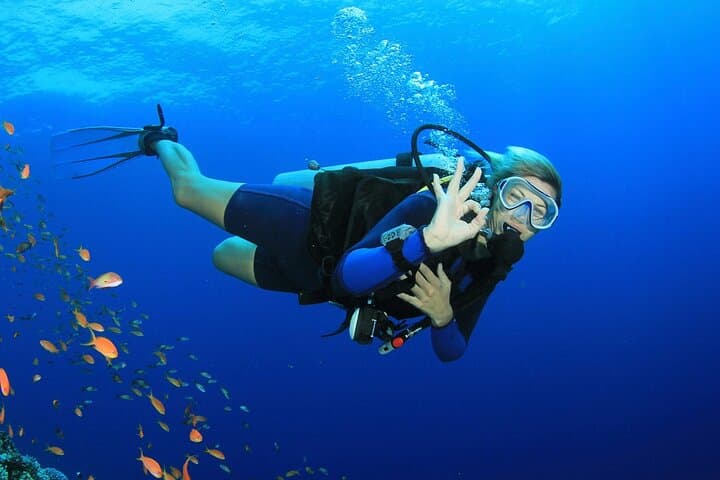 Beginner Scuba Diving at Jumeirah Beach, Dubai — 2-Hour Intro with Hotel Pickup photo 2