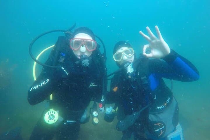 Beginner Scuba Diving at Jumeirah Beach, Dubai — 2-Hour Intro with Hotel Pickup photo 3