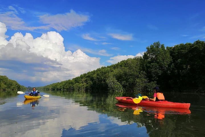 Sepang River Mangrove Kayak Tour: 4-Hour Morning & Sunset Paddles