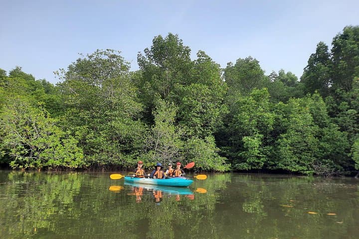 Sepang River Mangrove Kayak Tour: 4-Hour Morning & Sunset Paddles photo 2