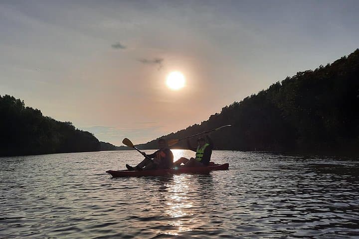 Sepang River Mangrove Kayak Tour: 4-Hour Morning & Sunset Paddles photo 3