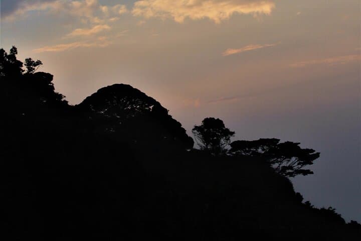 2-Day Bwindi Gorilla Trekking Safari from Kigali photo 4