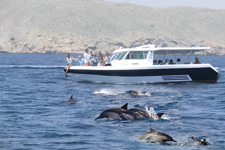 Dolphin Watching and Snorkeling in Muscat — 3‑Hour Boat Trip to Reefs and Dolphins photo 1
