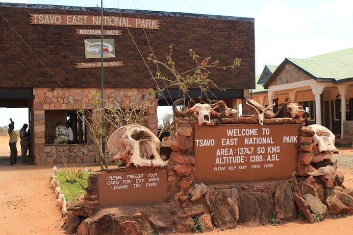 Tsavo East Day Safari from Malindi — Aruba Dam Big Game Viewing photo 2