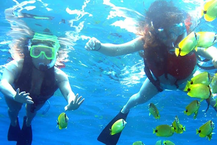 Dolphin Watching and Snorkeling in Muscat — 3‑Hour Boat Trip to Reefs and Dolphins photo 2