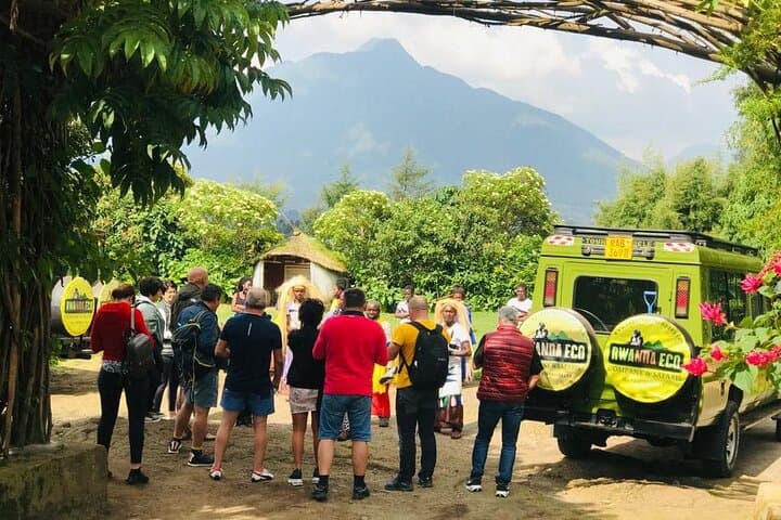 2-Day Bwindi Gorilla Trekking Safari from Kigali photo 6