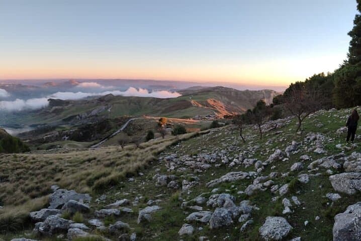 Truffle Hunting in the Sicani Mountains — Forage with Dogs and Local Hunters in Sicily photo 6