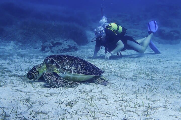 Introductory Scuba Diving in Protaras — Small-Group Green Bay Dive photo 6