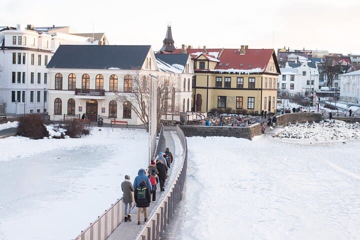 Reykjavík Small-Group Walking Tour — Hallgrímskirkja to Harpa