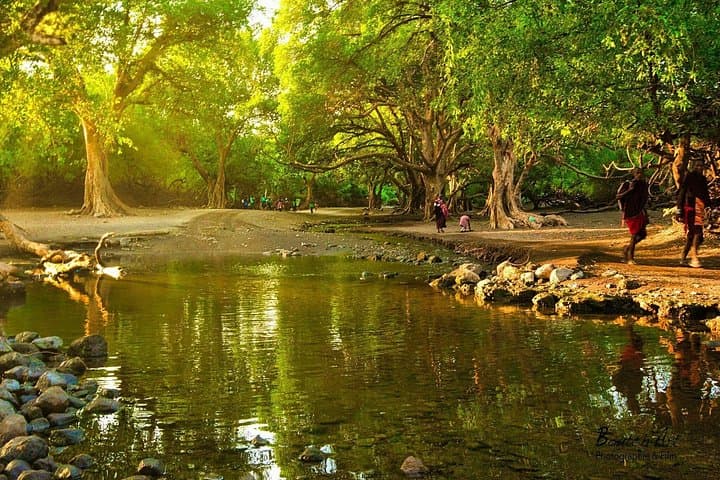 7-Day Mid-Range Safari: Lake Manyara, Serengeti, Ngorongoro & Tarangire photo 4