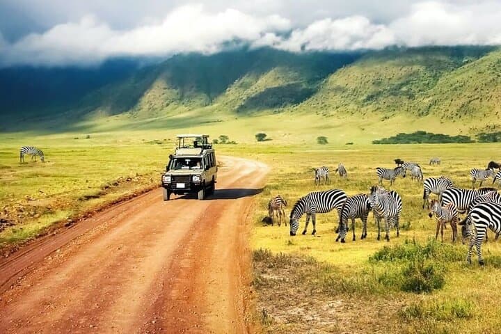 7-Day Mid-Range Safari: Lake Manyara, Serengeti, Ngorongoro & Tarangire photo 3
