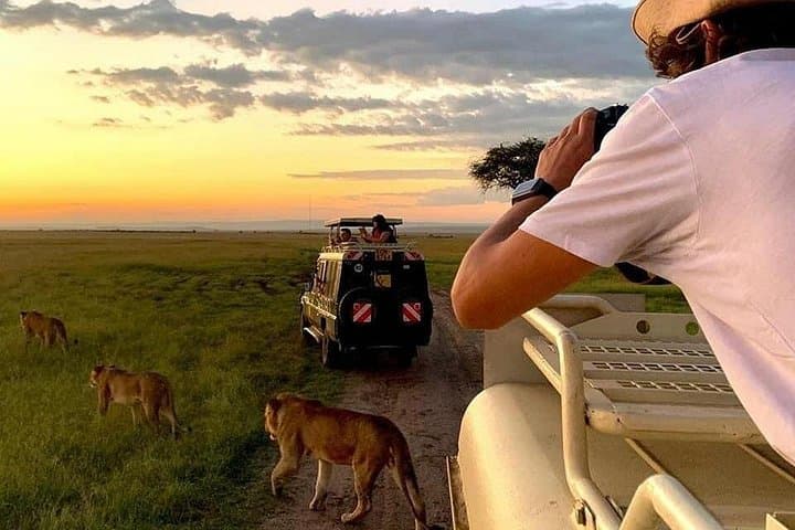 Short Tarangire & Ngorongoro Safari: 48-Hour Wildlife Intensive from Moshi photo 2