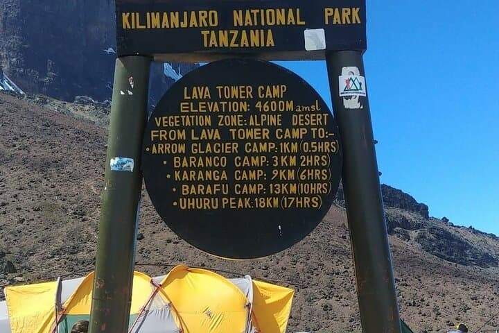 Kilimanjaro Northern Circuit: 8-Day Climb to Uhuru Peak via Lesser-Traveled Slopes